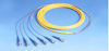 Bundle Fan-out Cord